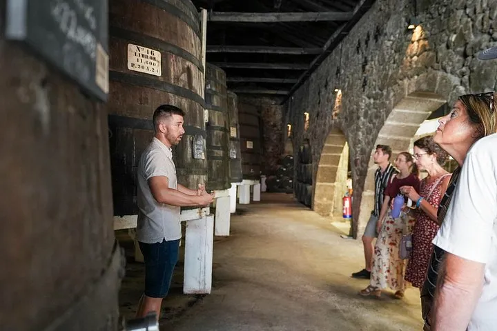 Small group tasting port in a cellar on a port wine cellar tour in Porto, Portugal